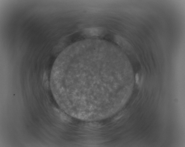 X0000081331203200702082153