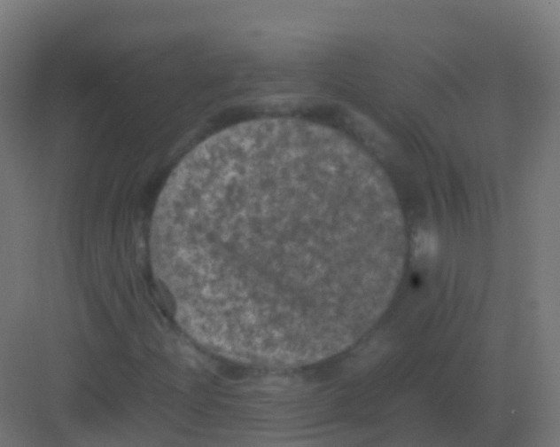 X0000081331204200702082153