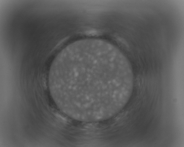 X0000081331205200702082153