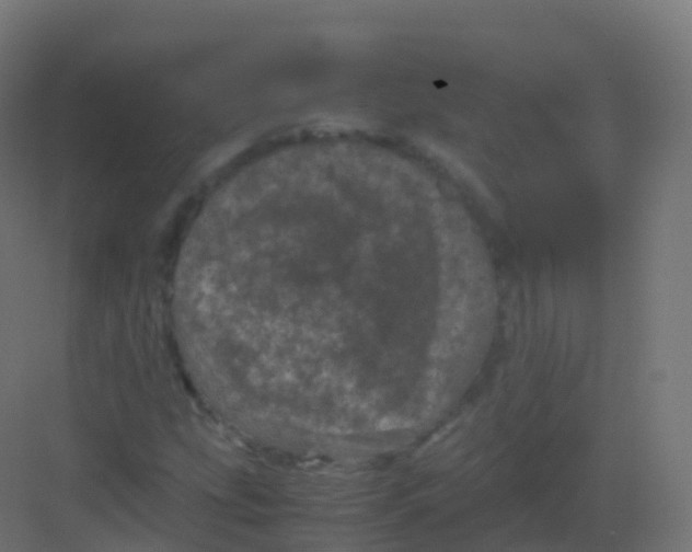 X0000081331207200702082153