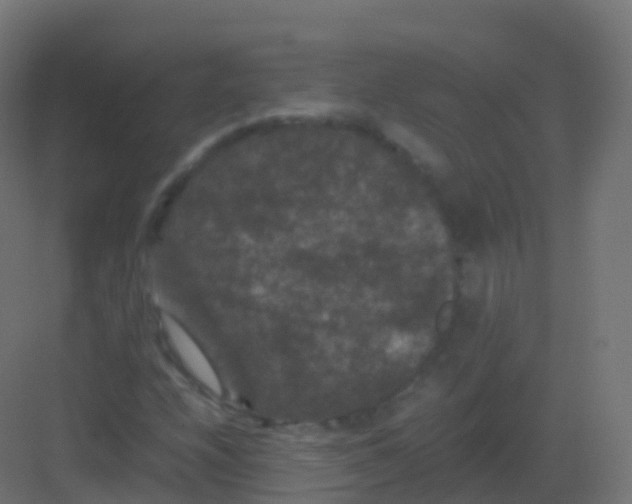 X0000081331208200702082153