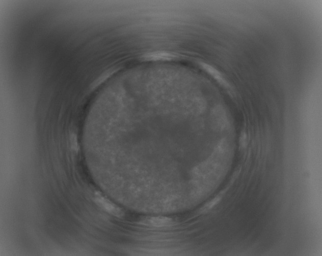 X0000081331209200702082153