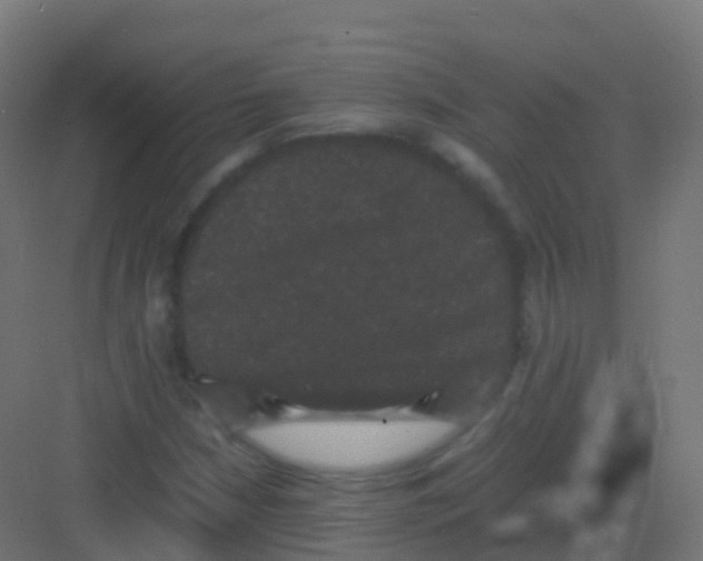 X0000081331210200702082153