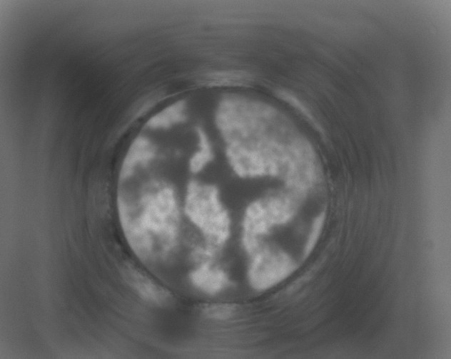 X0000081331211200702082153