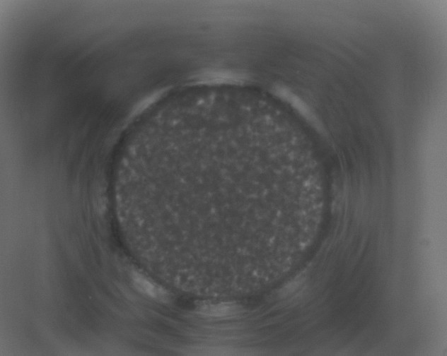 X0000081331213200702082153