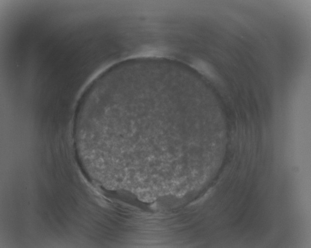 X0000081331216200702082153