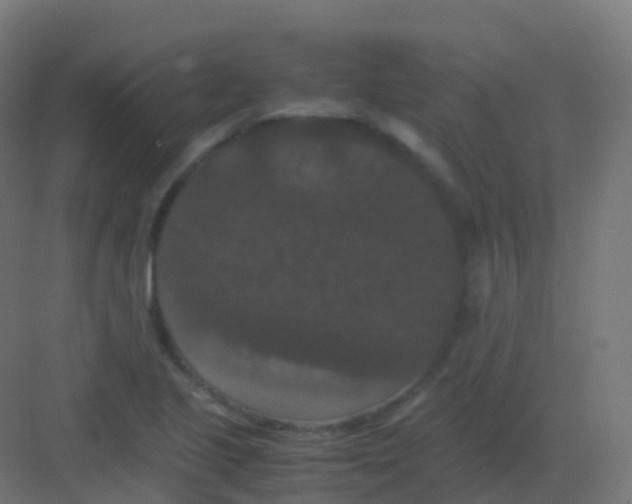 X0000081331221200702082153