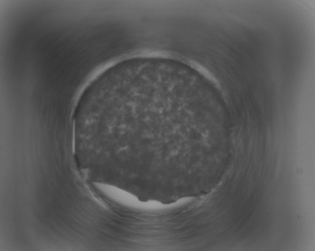 X0000081331223200702082153