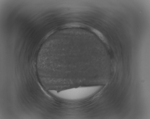 X0000081331225200702082153