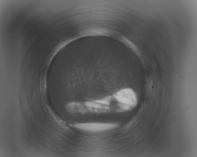 X0000081331226200702082153