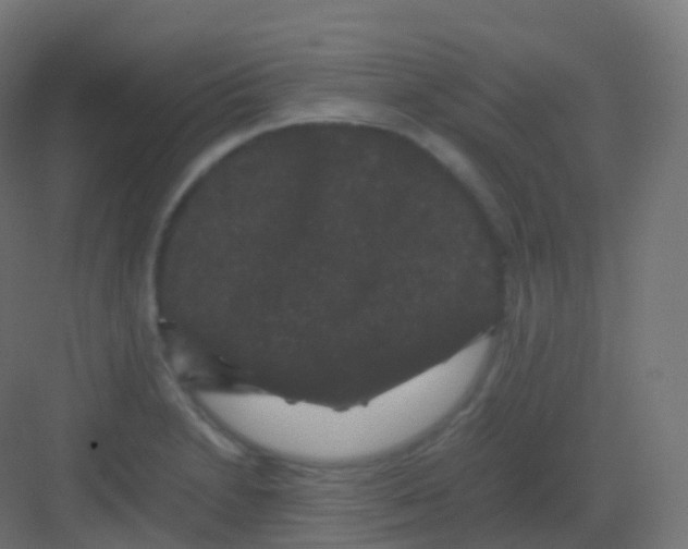 X0000081331230200702082153