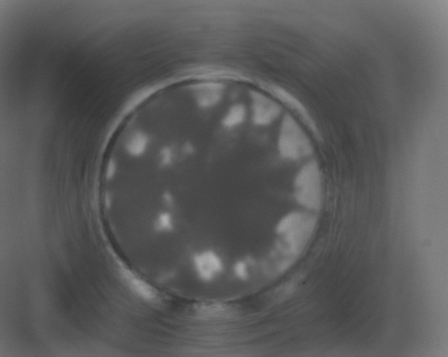 X0000081331231200702082153