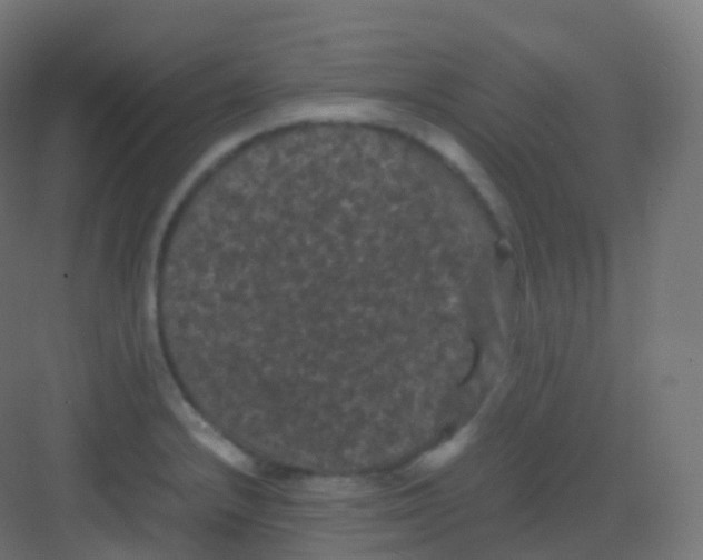 X0000081331232200702082153