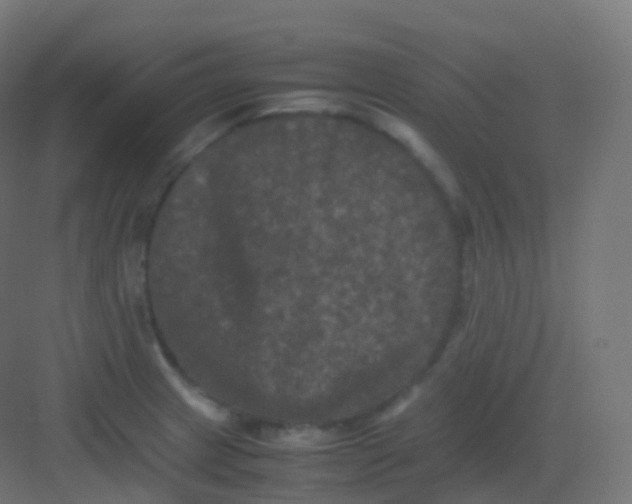 X0000081331233200702082153