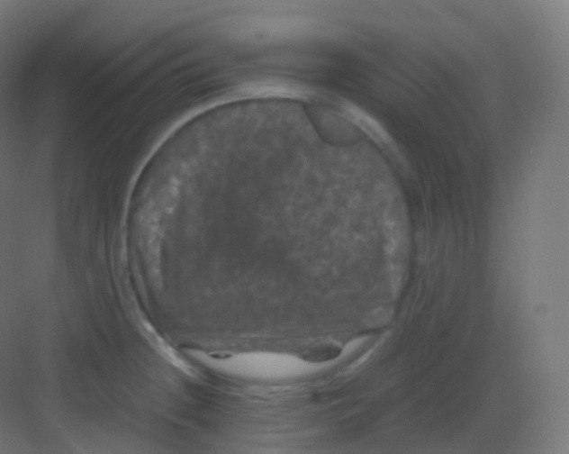 X0000081331236200702082153