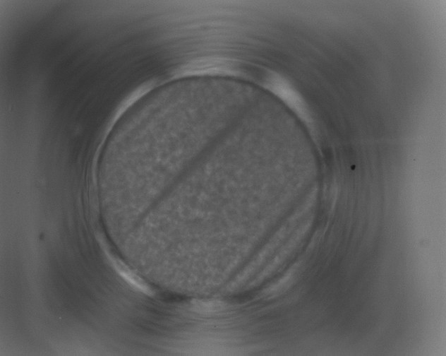 X0000081331242200702082154