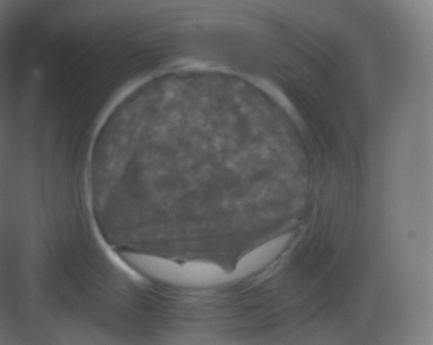 X0000081331247200702082154