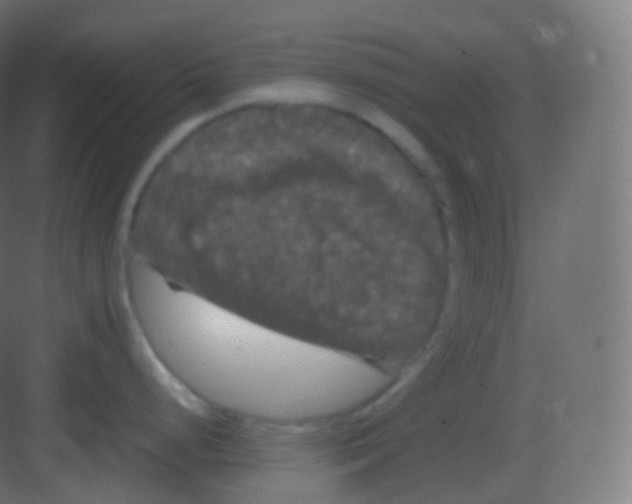 X0000081331248200702082154