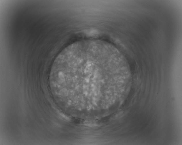 X0000081331249200702082153