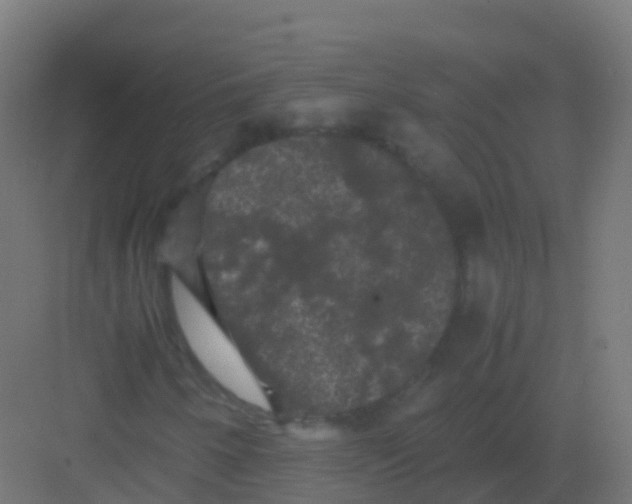 X0000081331250200702082153