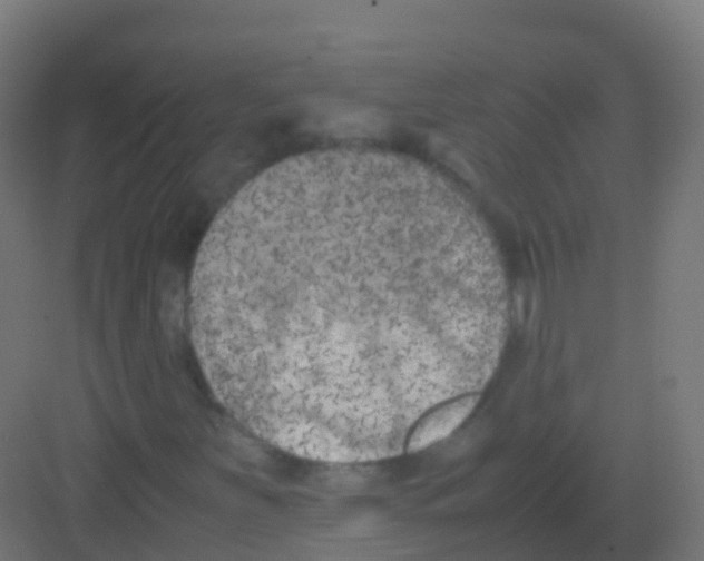 X0000081331251200702082153