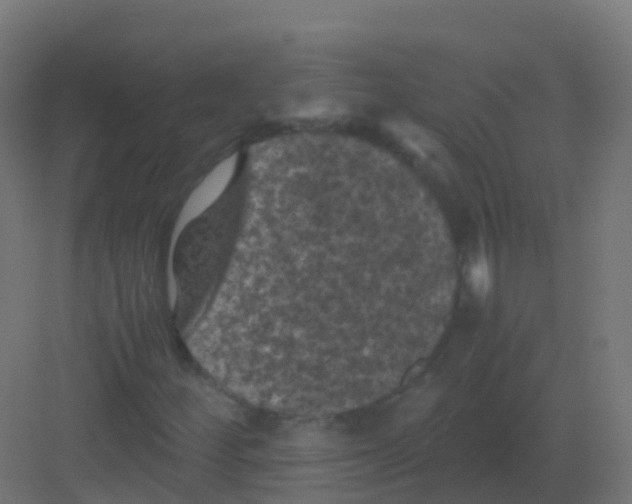 X0000081331252200702082153