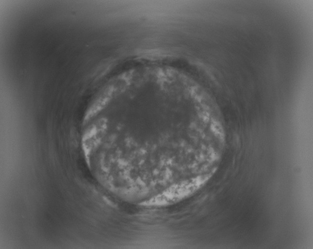 X0000081331253200702082153