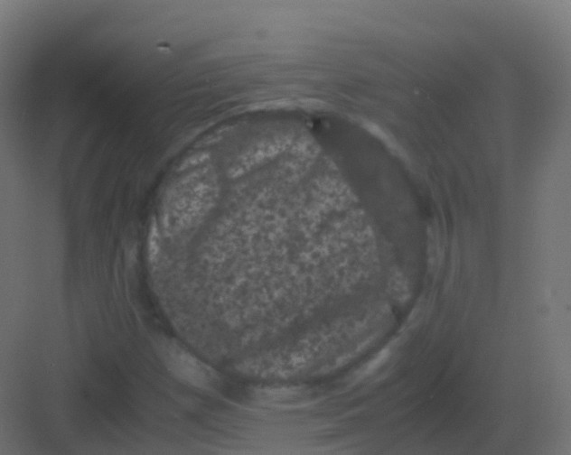 X0000081331257200702082153