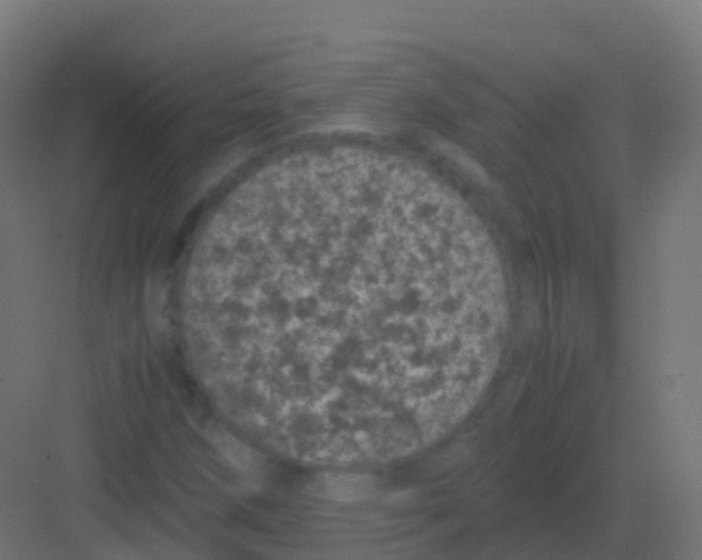 X0000081331258200702082153