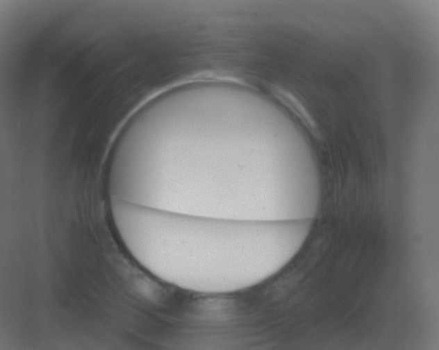 X0000081331268200702082153