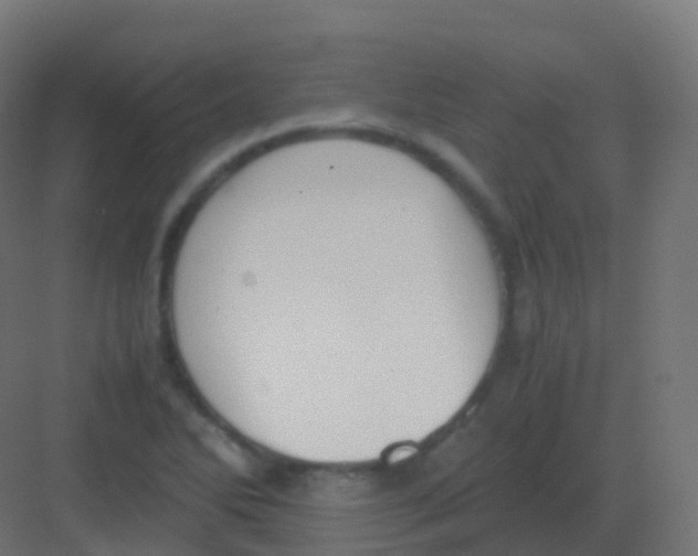 X0000081331270200702082152