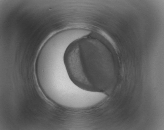 X0000081331283200702082152