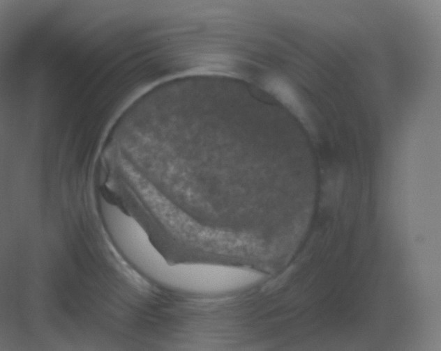 X0000081331284200702082152