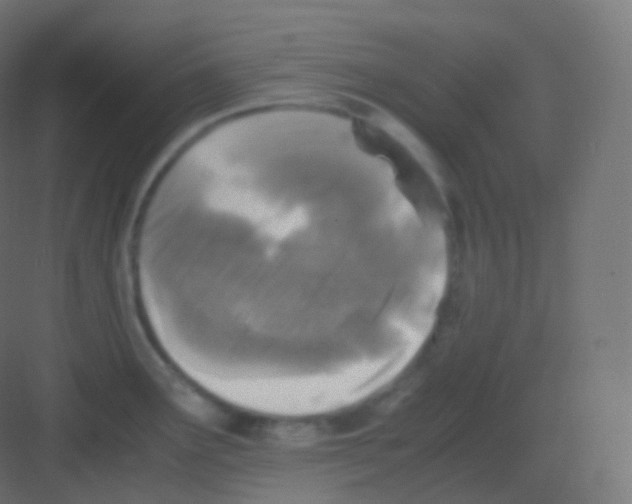 X0000081331291200702082152