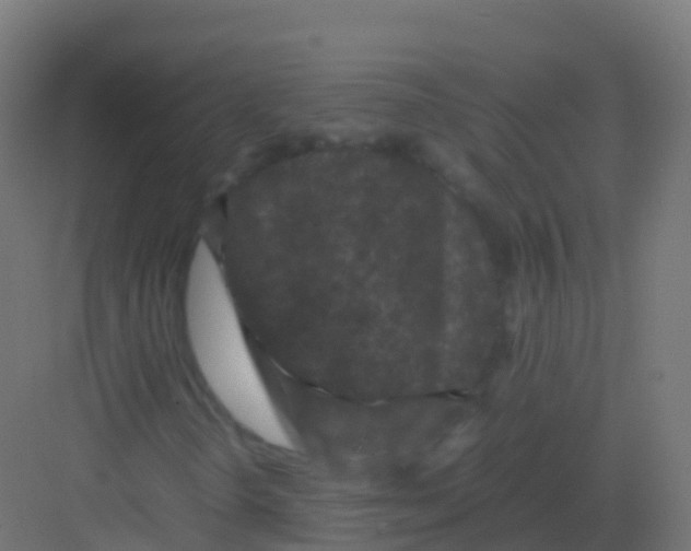 X0000081331298200702082151