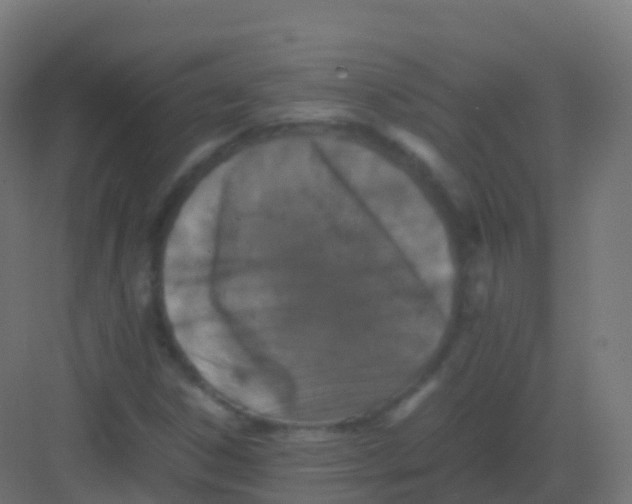 X0000081331306200702082151