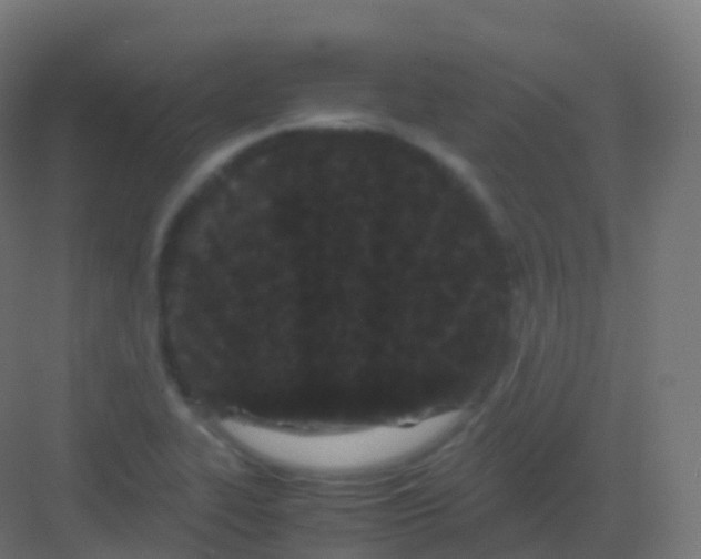 X0000081331319200702082152