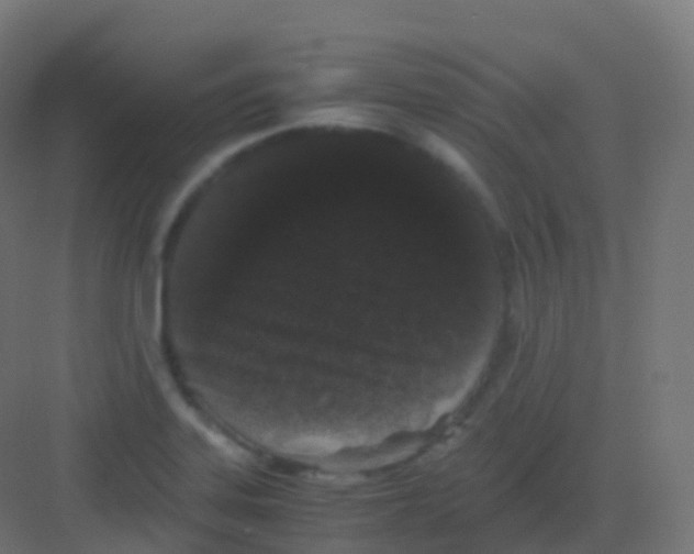X0000081331323200702082152