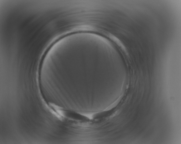 X0000081331334200702082152