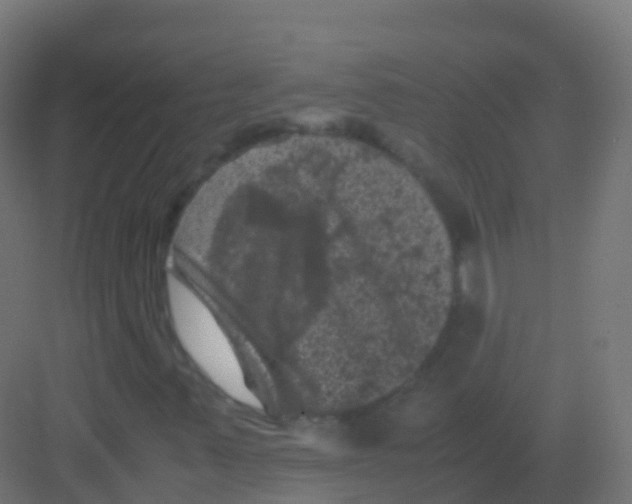 X0000081331347200702082151