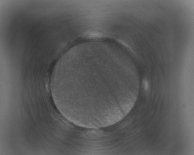 X0000081331348200702082151