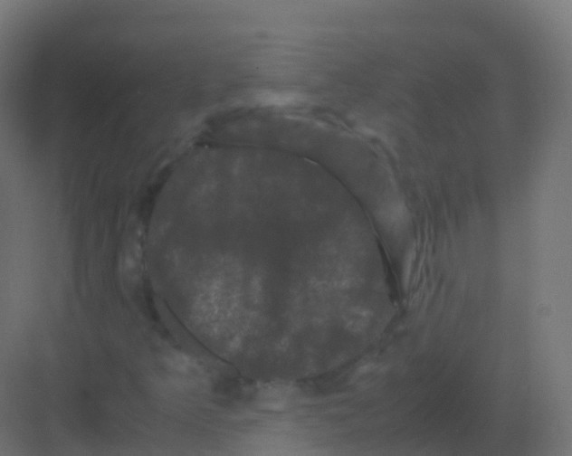 X0000081331349200702082151