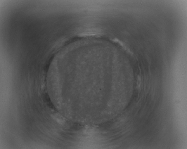 X0000081331350200702082151