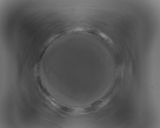 X0000081331353200702082151