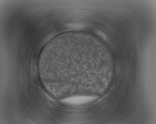 X0000081331354200702082151