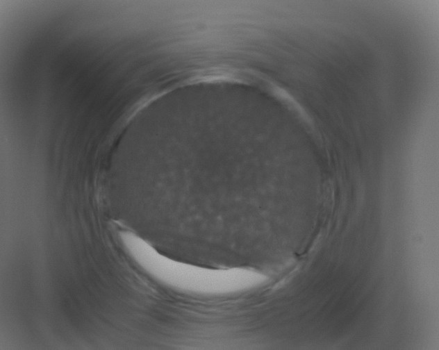 X0000081331361200702082151