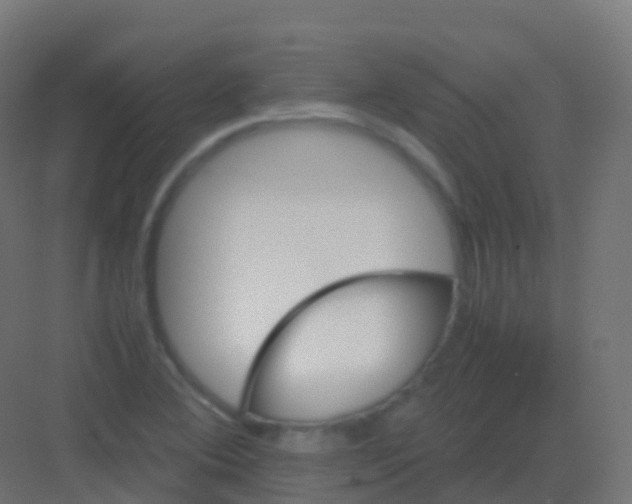 X0000081331364200702082151