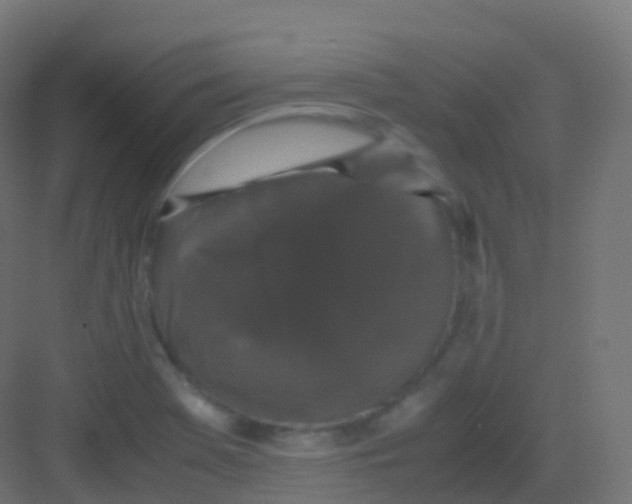 X0000081331369200702082151