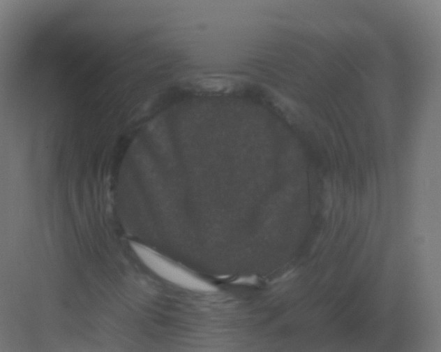 X0000081331394200702082150