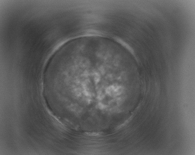 X0000081331415200702082150
